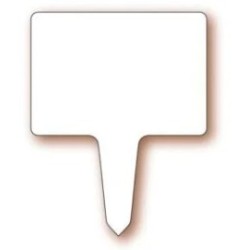 ETIQUETTE NEUTRE BLANCHE 80X60 mm - avec pique (lot de 10)