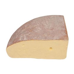 FACTICE FROMAGE FONTINA