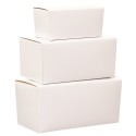 BALLOTIN BLANC - 165x83x75 mm - 750 grs (lot 25)