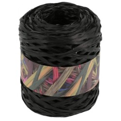 RAPHIA SYNTHETIQUE - NOIR (x200m)