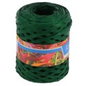 RAPHIA SYNTHETIQUE - VERT SAPIN (x200m)