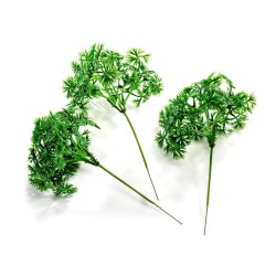 BOUQUET DE 6 BRANCHES DE PERSIL