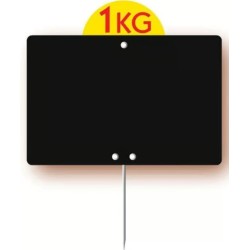 ARDOISE NEUTRE NOIRE 200X150 mm - disque poids en ht, pique inox (lot