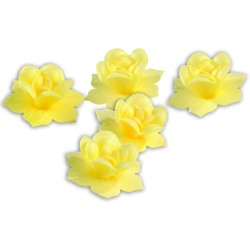 JONQUILLE JAUNE AZYME - Ø 45 mm (x28)