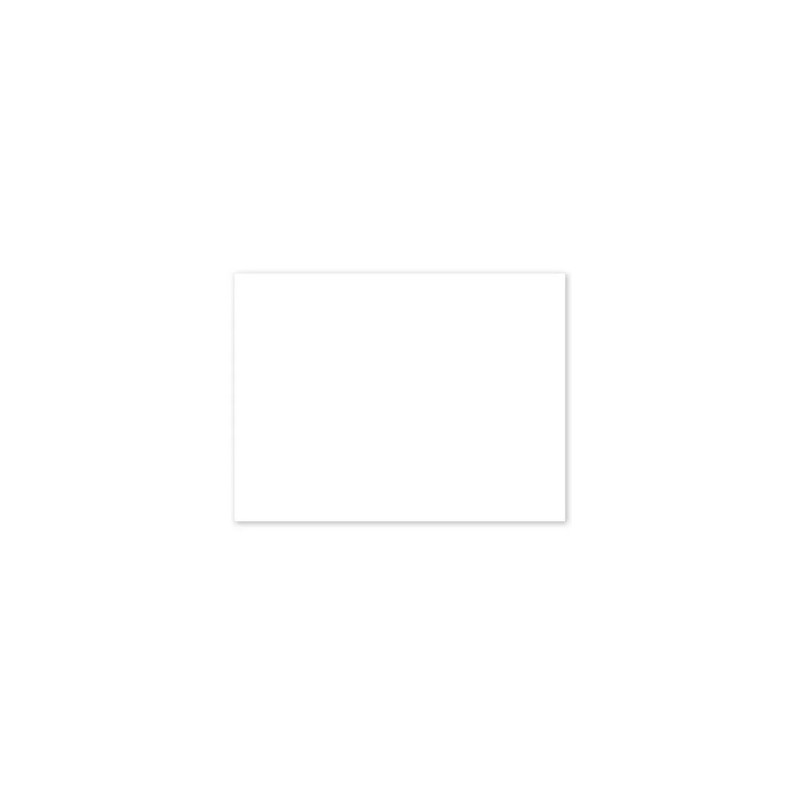 PANCARTE 200x150 mm – blanche, fil nylon (lot de 10)