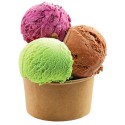 POT A GLACE KRAFT