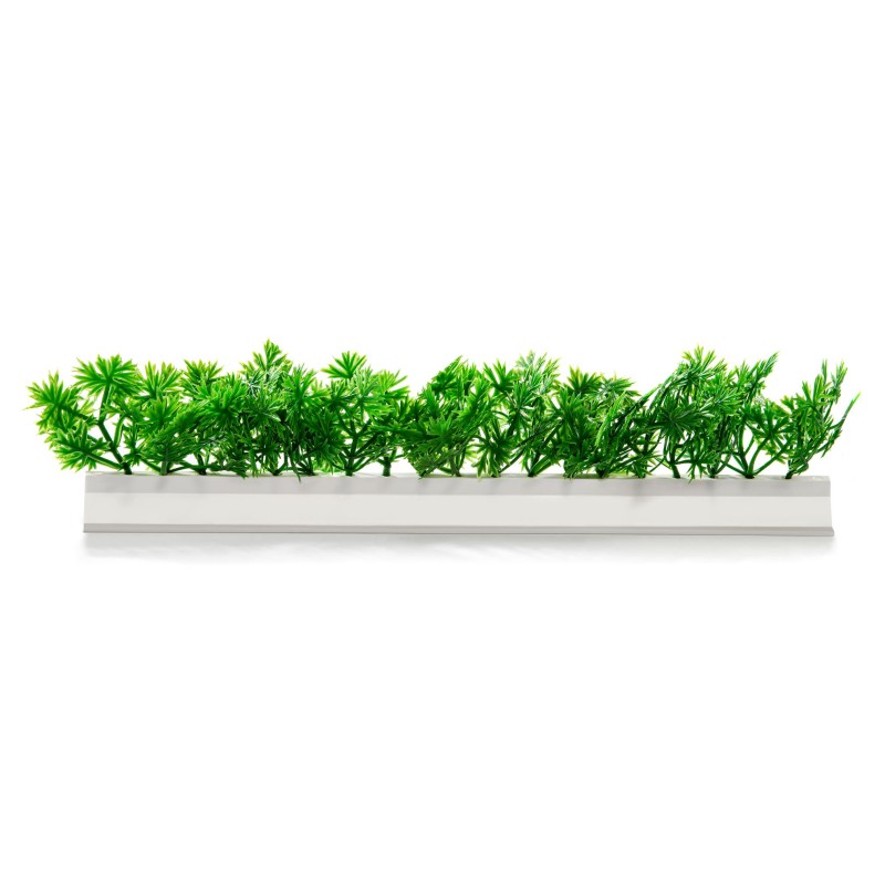 BARRETTE PERSIL