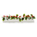 BARRETTE HOUX
