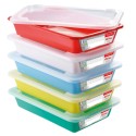 LOT DE BACS PLATS TEMOINS + COUVERCLES