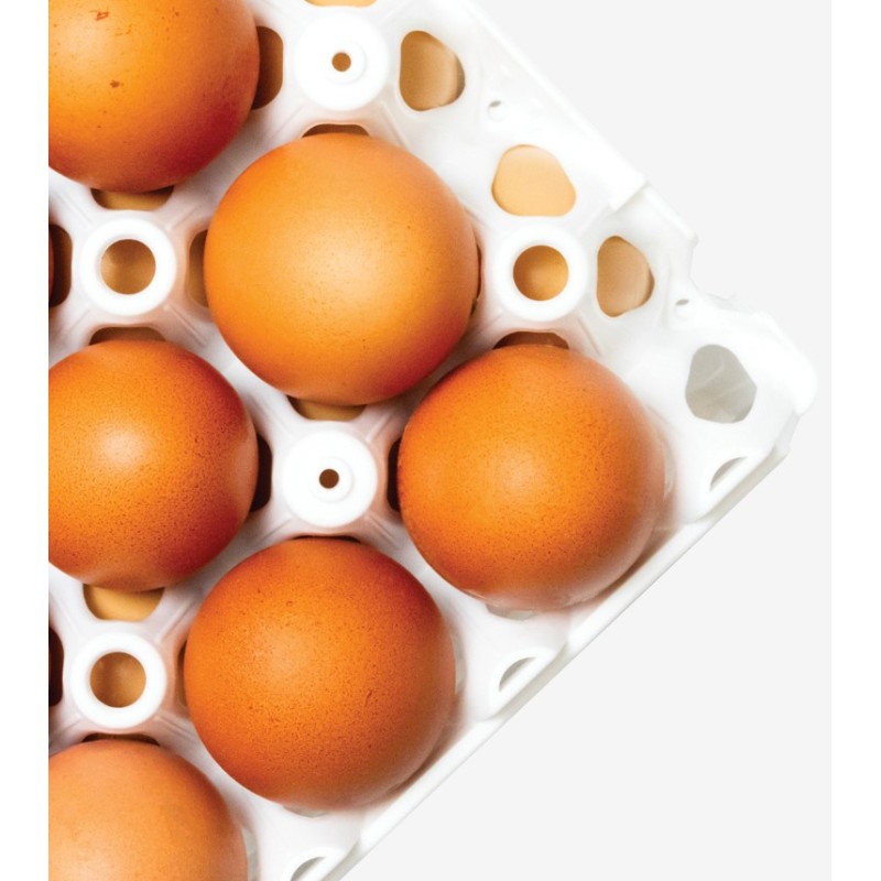 ALVEOLES A ŒUFS EN PLASTIQUE