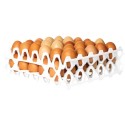 ALVEOLES A ŒUFS EN PLASTIQUE