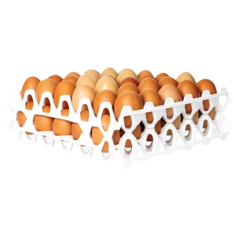ALVEOLES A ŒUFS EN PLASTIQUE
