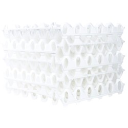 ALVEOLES A ŒUFS EN PLASTIQUE 300X300X50 MM - BLANC (Lot de 6)