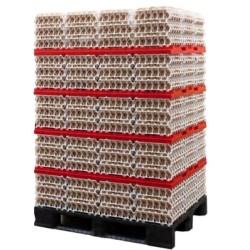 KIT DE STOCKAGE DE 10 800 ŒUFS