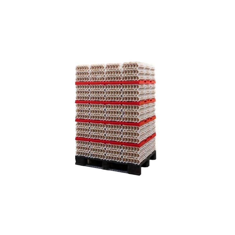 KIT DE STOCKAGE DE 10 800 ŒUFS