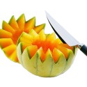 DECOR MELON ET AGRUMES - LG 200 mm