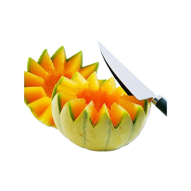 DECOR MELON ET AGRUMES - LG 200 mm