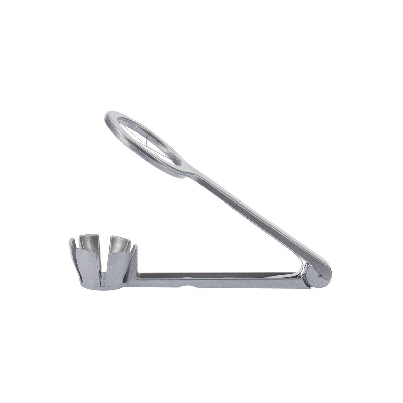 COUPE OEUF - FONTE D'ALUMINIUM ET FILS INOX - 6 quartiers