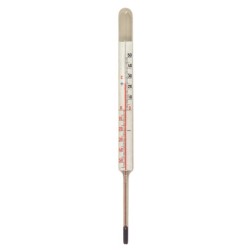 RECHARGE POUR THERMOMETRE FRIGO