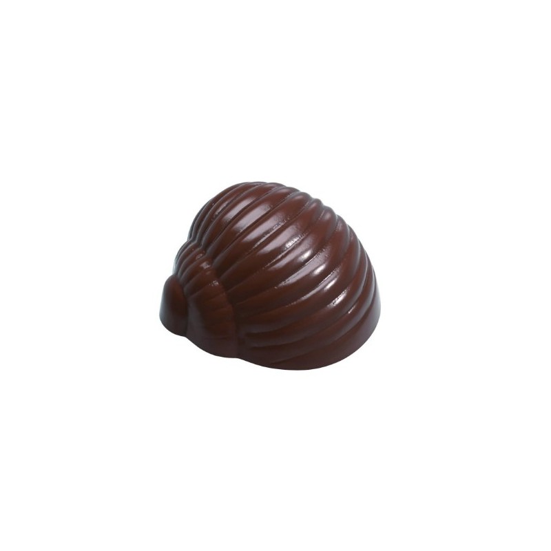 PLAQUE ESCARGOT (X 35)