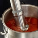 MIXEUR PLONGEANT CMP 250 V.V - DIM 650XØ94 MM - monophasé