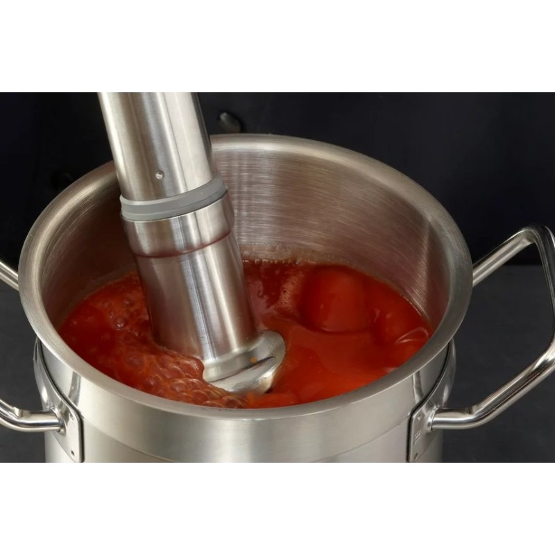 MIXEUR PLONGEANT CMP 250 COMBI - 2V - DIM 610XØ125 MM - monophasé