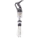 MIXEUR PLONGEANT MP 450 FW ULTRA - 2V - DIM 800XØ125 MM - monophasé