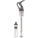 MIXEUR PLONGEANT MP 450 COMBI ULTRA - 2V - DIM 840XØ125 MM - monophas