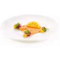 PLAQUE SILICONE 300X175 - 10 tranches citron 65x35xht14 mm - 14ml