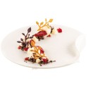 PLAQUE SILICONE 470X270 - 24 branches Eden lg 73 mm