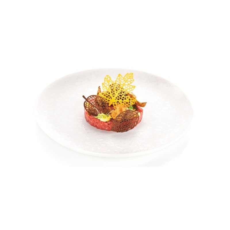 PLAQUE SILICONE 470X270 - 21 feuilles bois (9 60x37 + 12 71x69 mm)