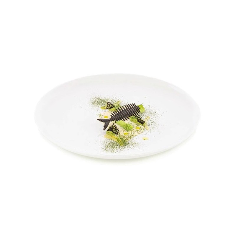 PLAQUE SILICONE 470X270 - 16 arêtes poisson 104.5x35.4xht4 mm - 4ml