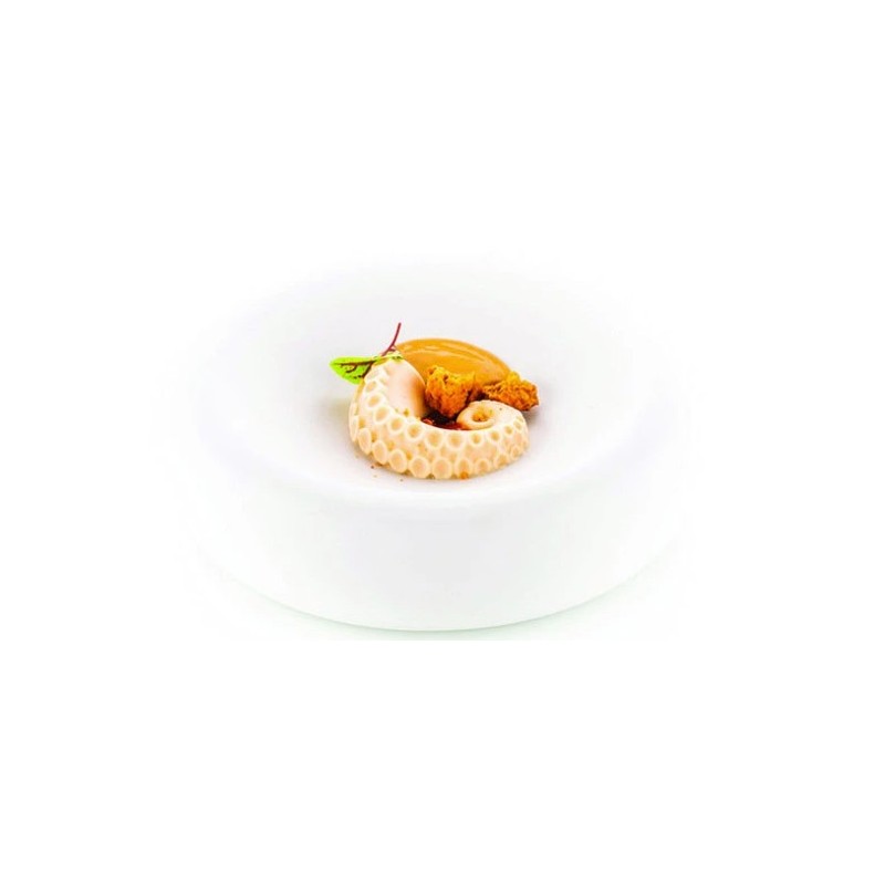 PLAQUE SILICONE 300X175 - 12 poulpes 60x55xht20 mm - 20ml