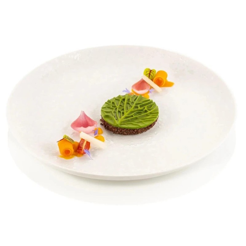 PLAQUE SILICONE 470X270 - 12 feuilles de choux Ø 70x5 mm - 12ml
