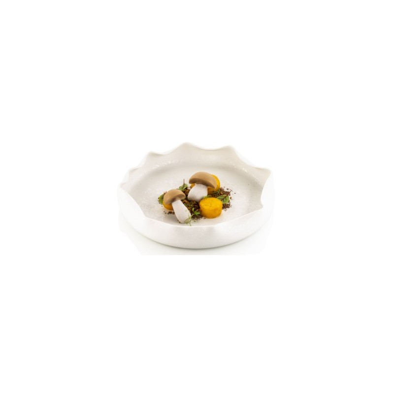 PLAQUE SILICONE 300X175 - 16 champignons  (8 59x36 + 8 53x46 mm)