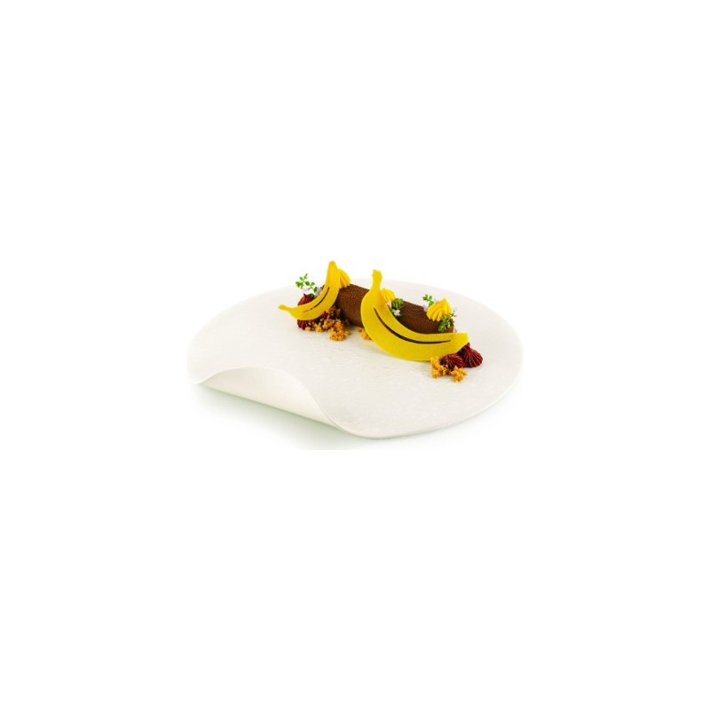 PLAQUE SILICONE 470X270 - 31 bananes (10 103x52 + 21 62x31 mm)