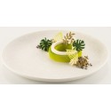 PLAQUE SILICONE 470X270 - 68 feuilles jardin (40x25 et 40x49 mm)