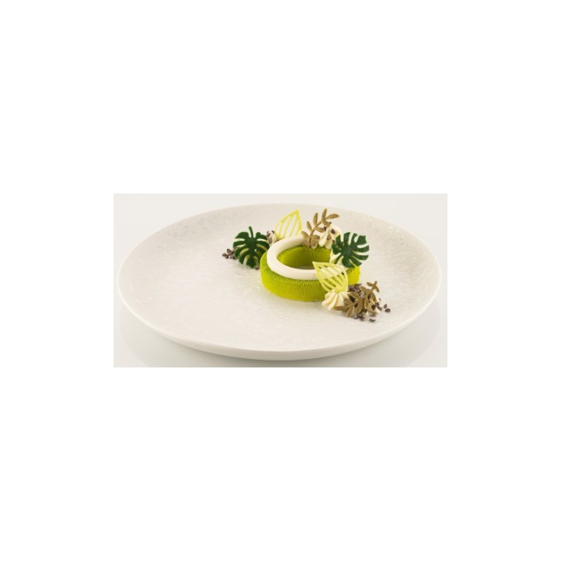 PLAQUE SILICONE 470X270 - 68 feuilles jardin (40x25 et 40x49 mm)