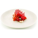 PLAQUE SILICONE 470X270 - 21 coraux (9 68x63 + 12 50x53 mm)