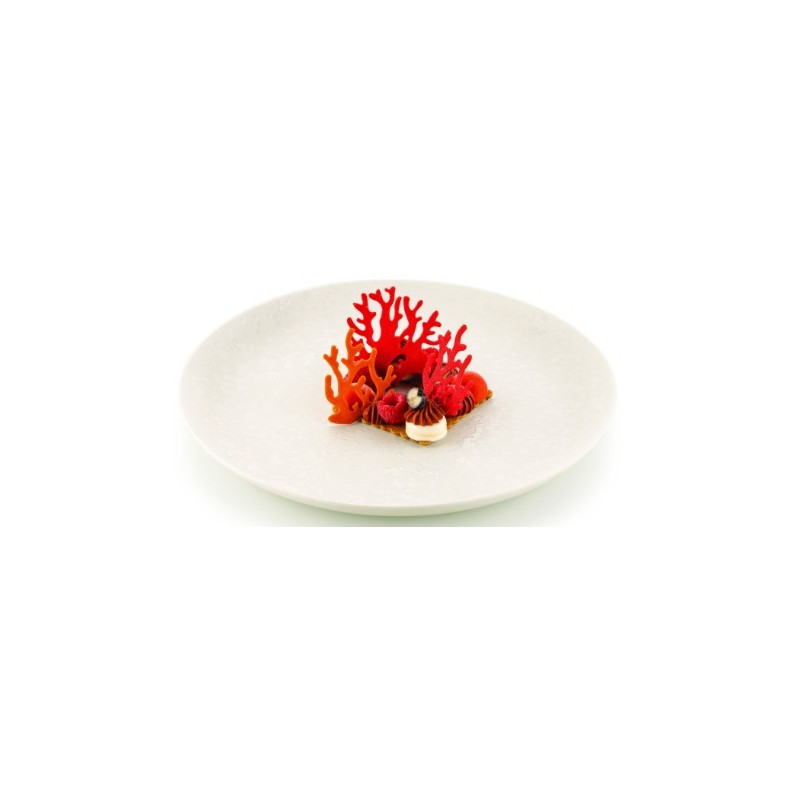 PLAQUE SILICONE 470X270 - 21 coraux (9 68x63 + 12 50x53 mm)