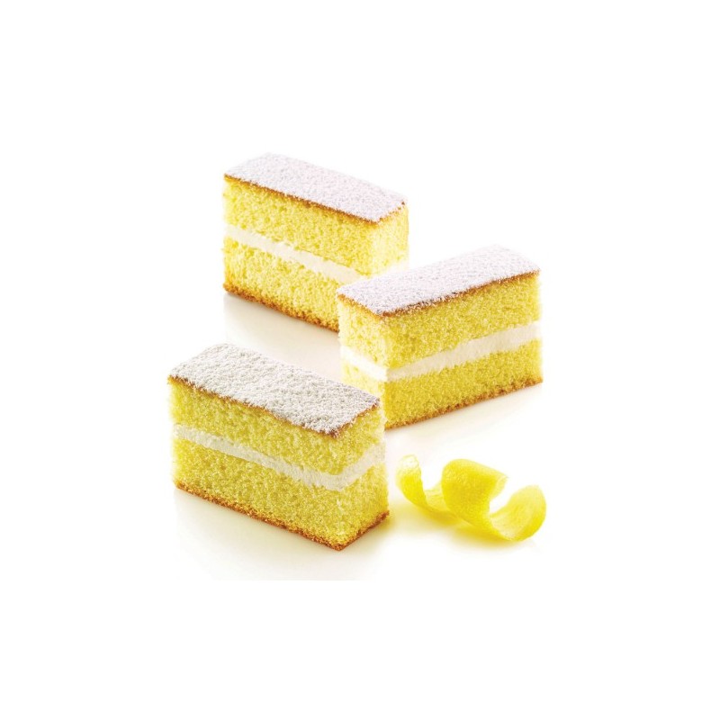PLAQUE SILICONE MINI CAKES