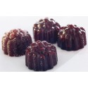 PLAQUE SILICONE 180X335 - Pâte de fruit framboise Ø 30xht24 mm - 10ml