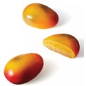 PLAQUE SILICONE 300X175 - 6 mangues 93x57xht42 mm - 130ml