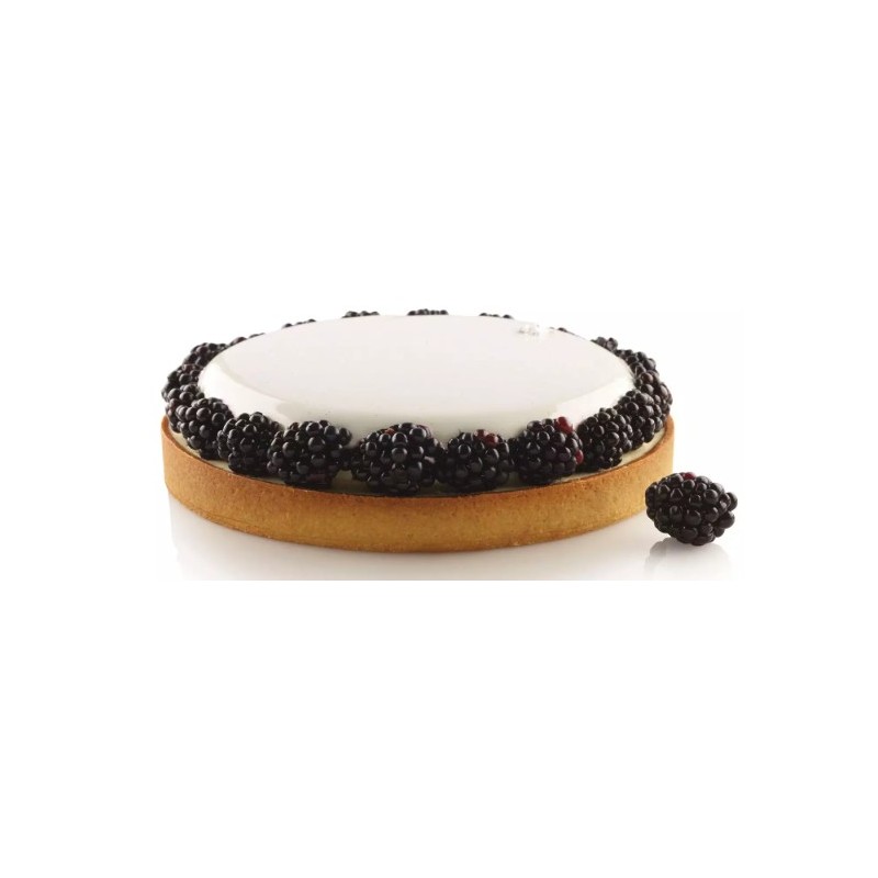KIT MOULE SILICONE TARTES RONDES