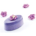 PLAQUE SILICONE 600X400 - 63 ovales 51x31xht20 mm - 20ml