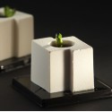 PLAQUE SILICONE 600X400 - 24 cubes tekno 58x50xht50 mm - 115ml
