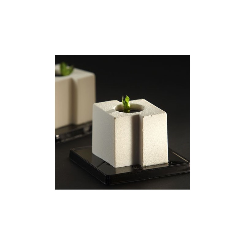 PLAQUE SILICONE 600X400 - 24 cubes tekno 58x50xht50 mm - 115ml