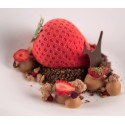 KIT MOULE SILICONE - 5 fraises 60x77xht54 mm - 120ml