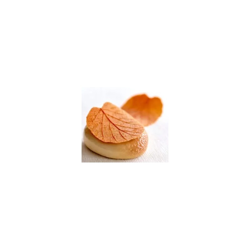 KIT MOULE SILICONE - Feuille noisetier 82x75 mm