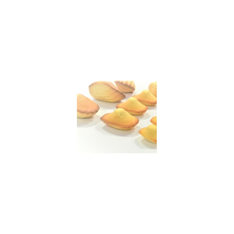 PLAQUE SILICONE MADELEINES